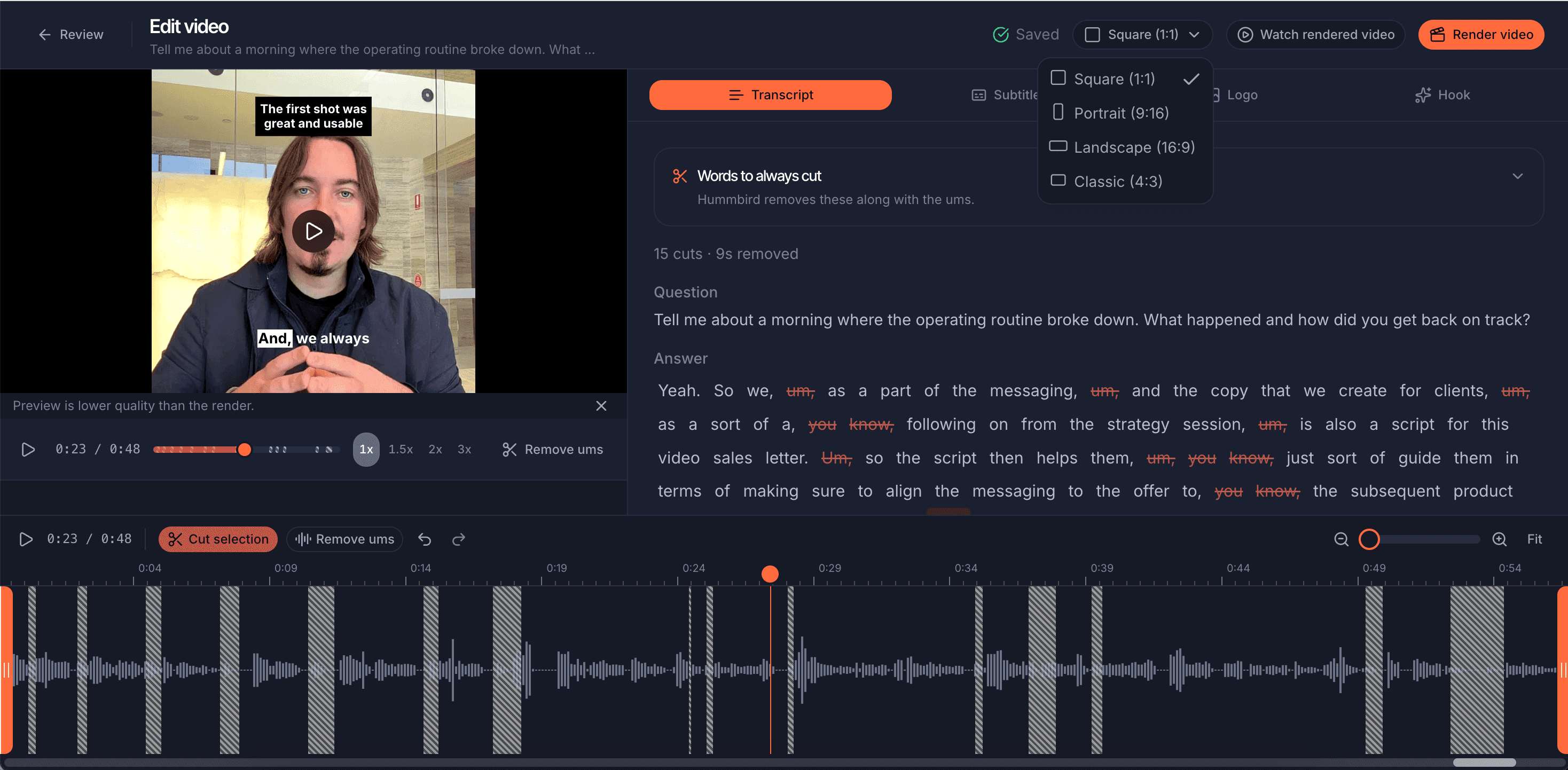 Hummbird editor screen